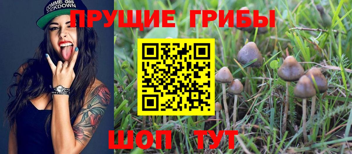 Галлюциногенные грибы GOLDEN TEACHER Елец